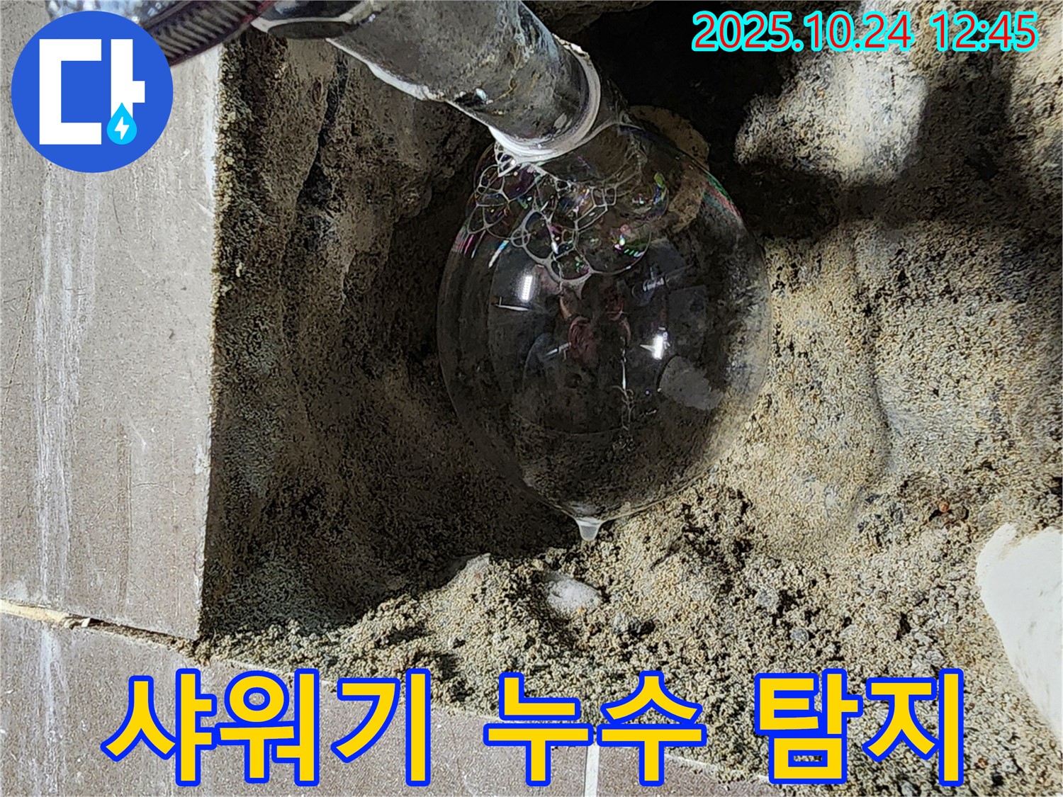 양주 누수 현장 - 샤워기 배관에서 누수 발생 지점을 정확히 탐지하고 있습니다.