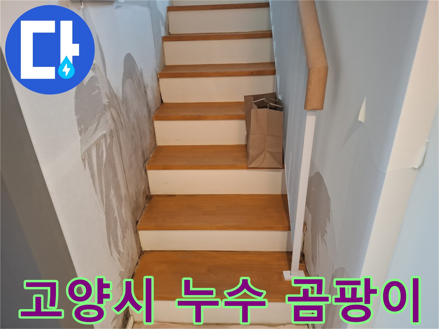 계단 벽 곰팡이 - 건강 위협, 곰팡이 퇴치