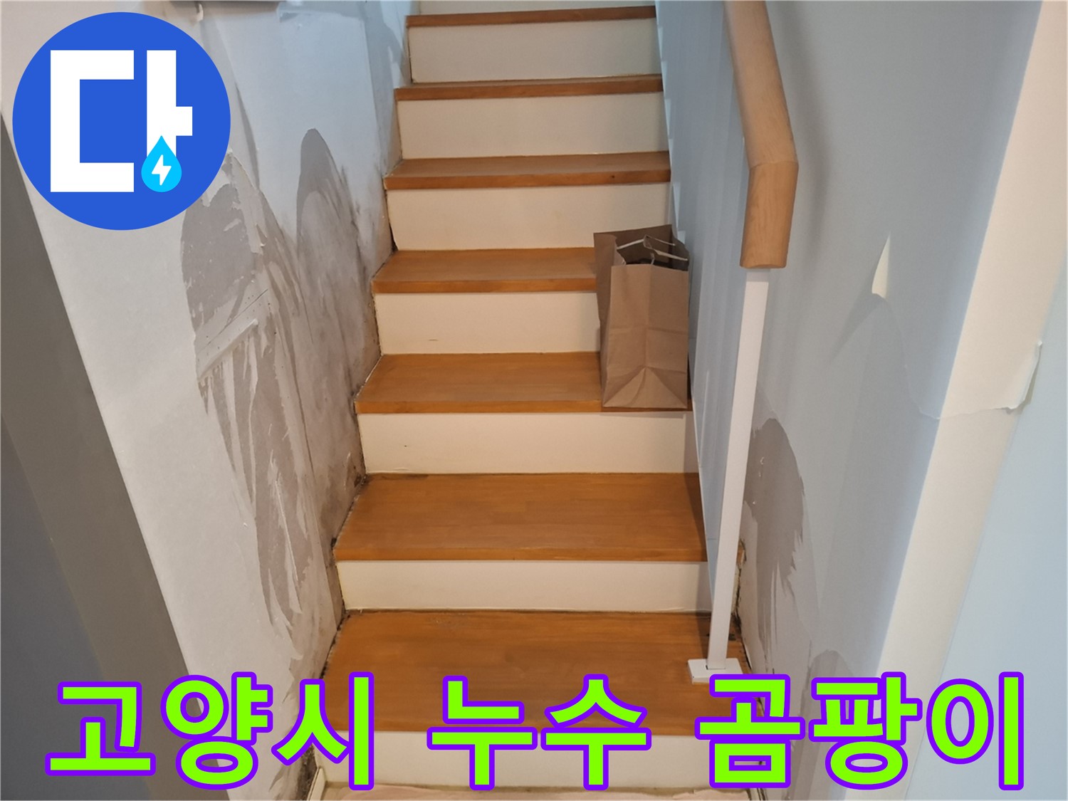 계단 옆 벽 곰팡이 - 건강 위협, 곰팡이 완전 박멸