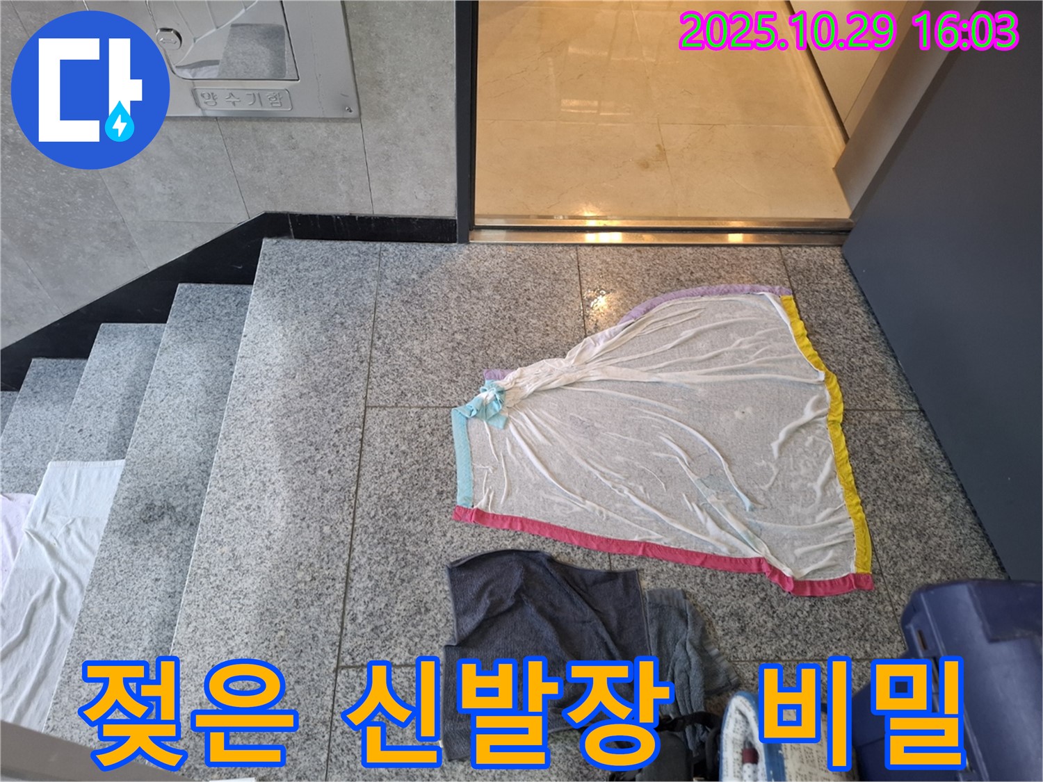 고양시 동산동 누수 현장 - 젖은 신발장, 누수의 비밀을 밝힙니다.