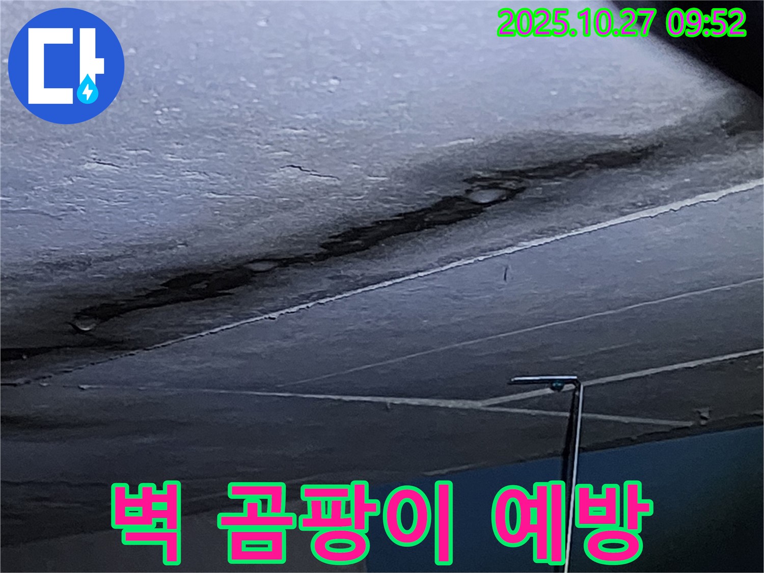 양주 옥정동 2083 누수 - 벽에 검은 곰팡이를 예방하여 쾌적한 공간을 만들어 드립니다 - 건강한 생활을 위한 최고의 선택입니다.