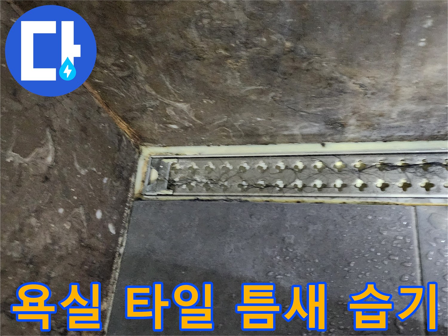 양주시 옥정동-타일 사이 벌어짐과 배관 주변 물샘 확인