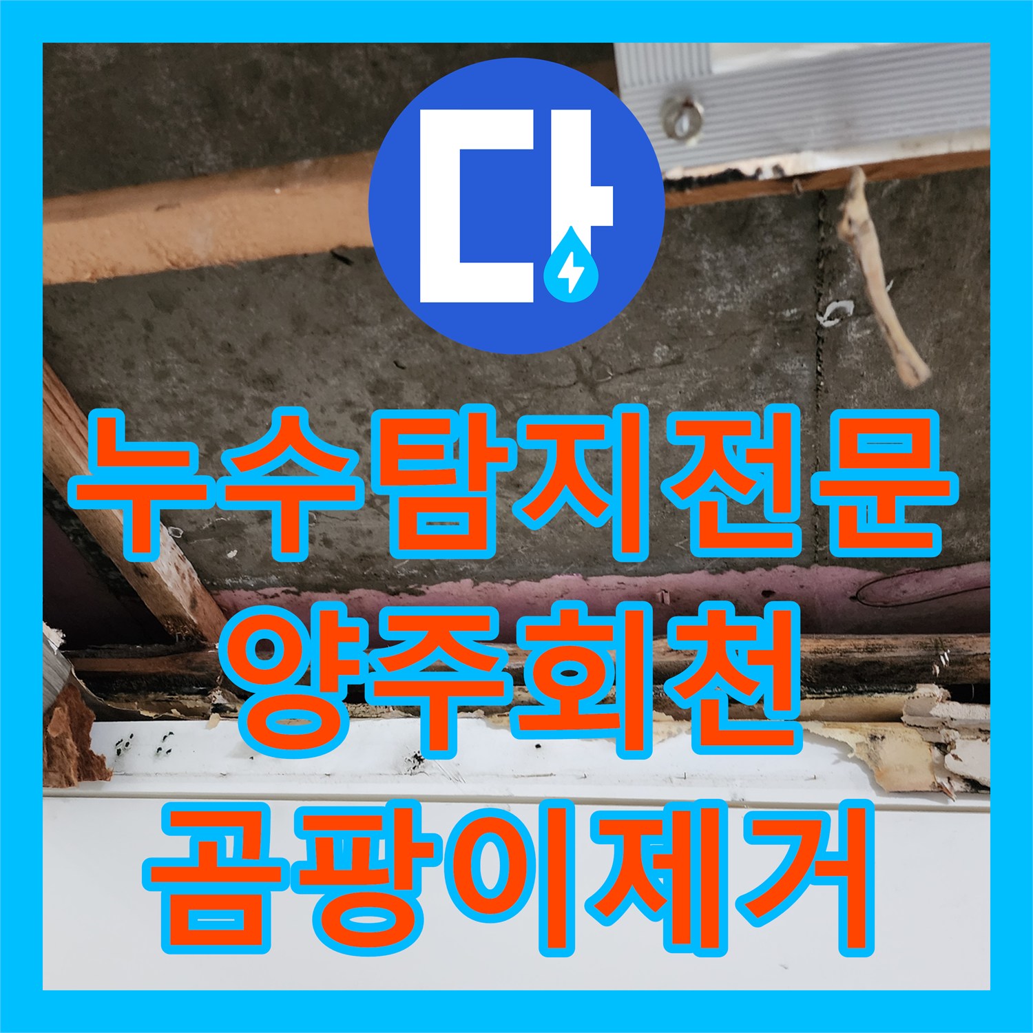 누수탐지전문 상부층 배관 결함으로 인한 천장 곰팡이 해결 경기 양주시 회천2동