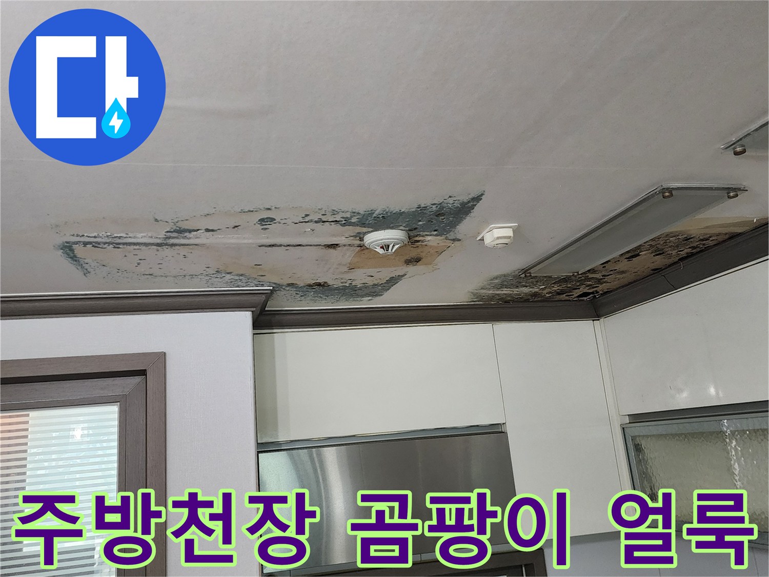 양주 회천동 주방 천장에 발생한 검은색 곰팡이와 물에 젖은 벽지 상태