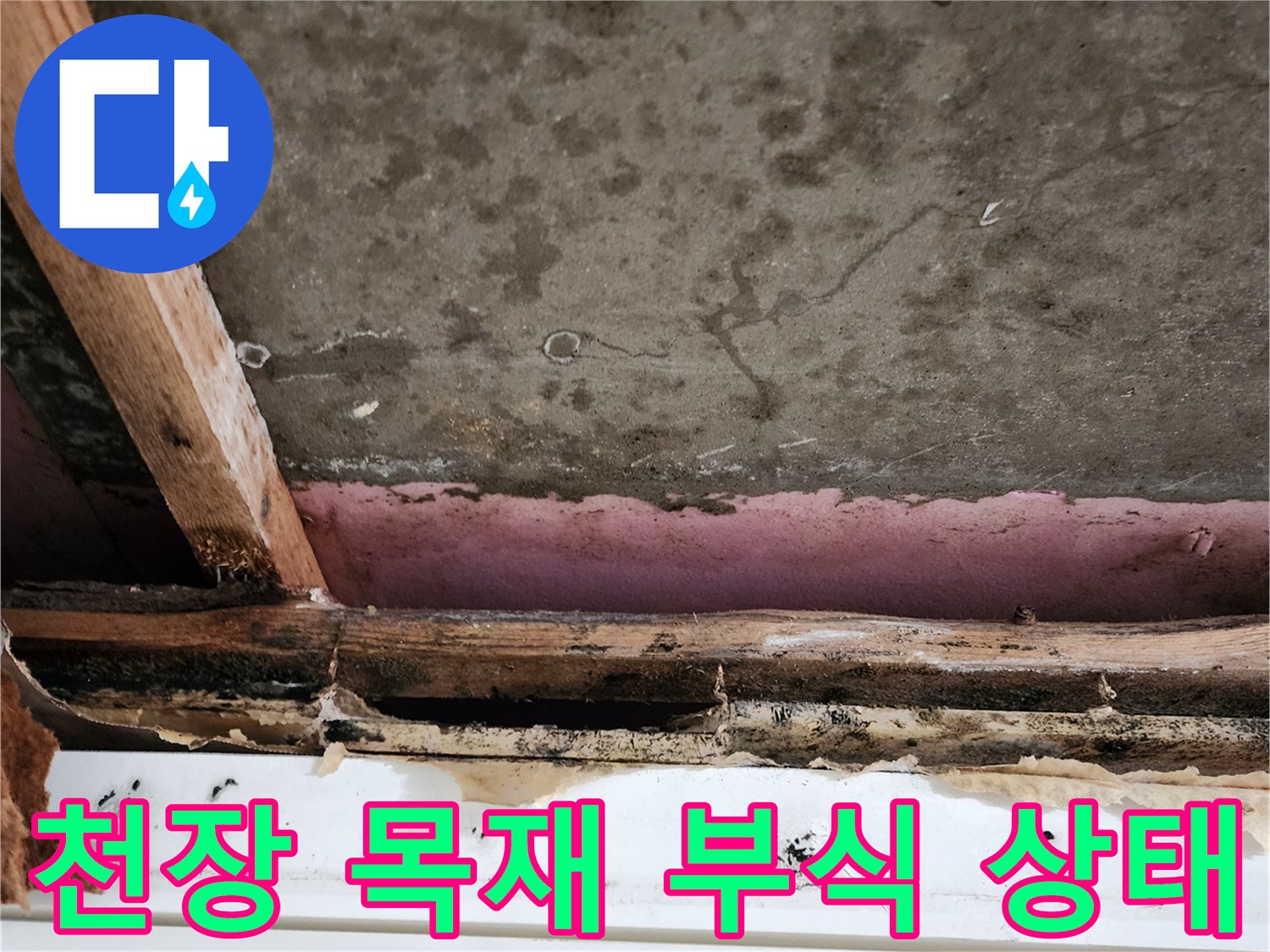 천장-내부-목재-부식과-곰팡이-발생-상태