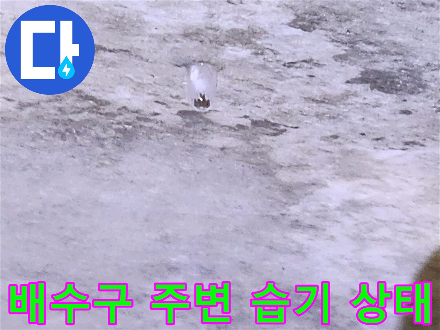 물기가 스며든 배수구 유가 주변 콘크리트-누수 지점 정밀 점검