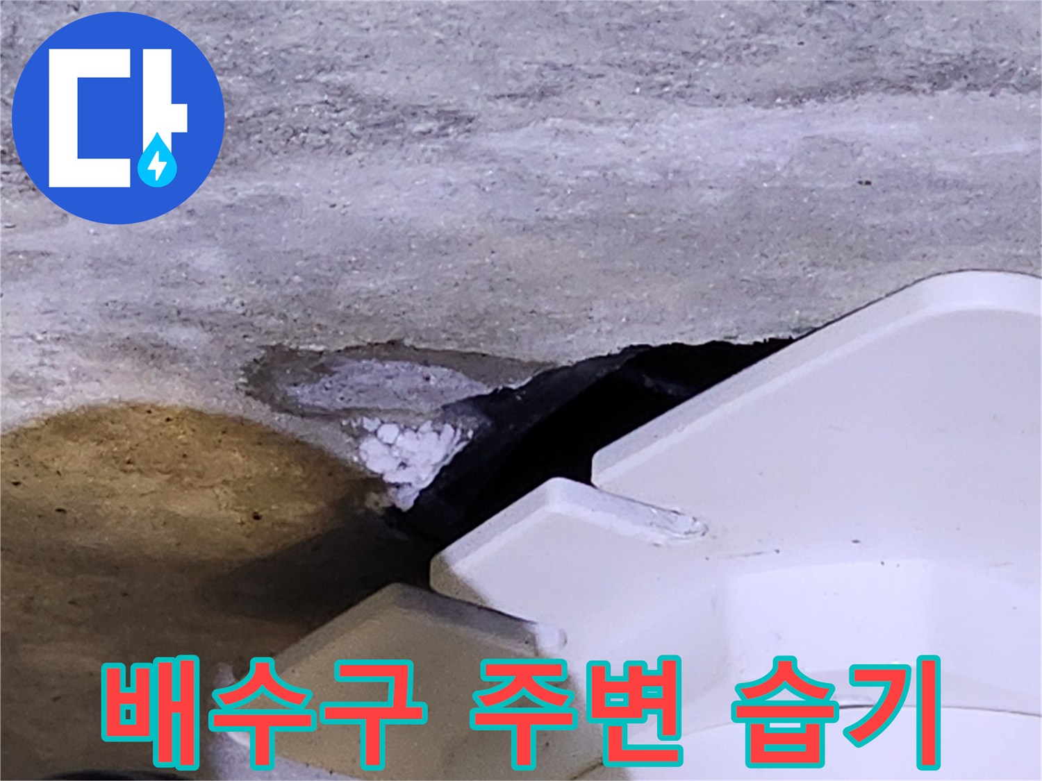양주시 유양동-화장실 배수구 주변의 젖은 콘크리트와 유가 틈새 상태