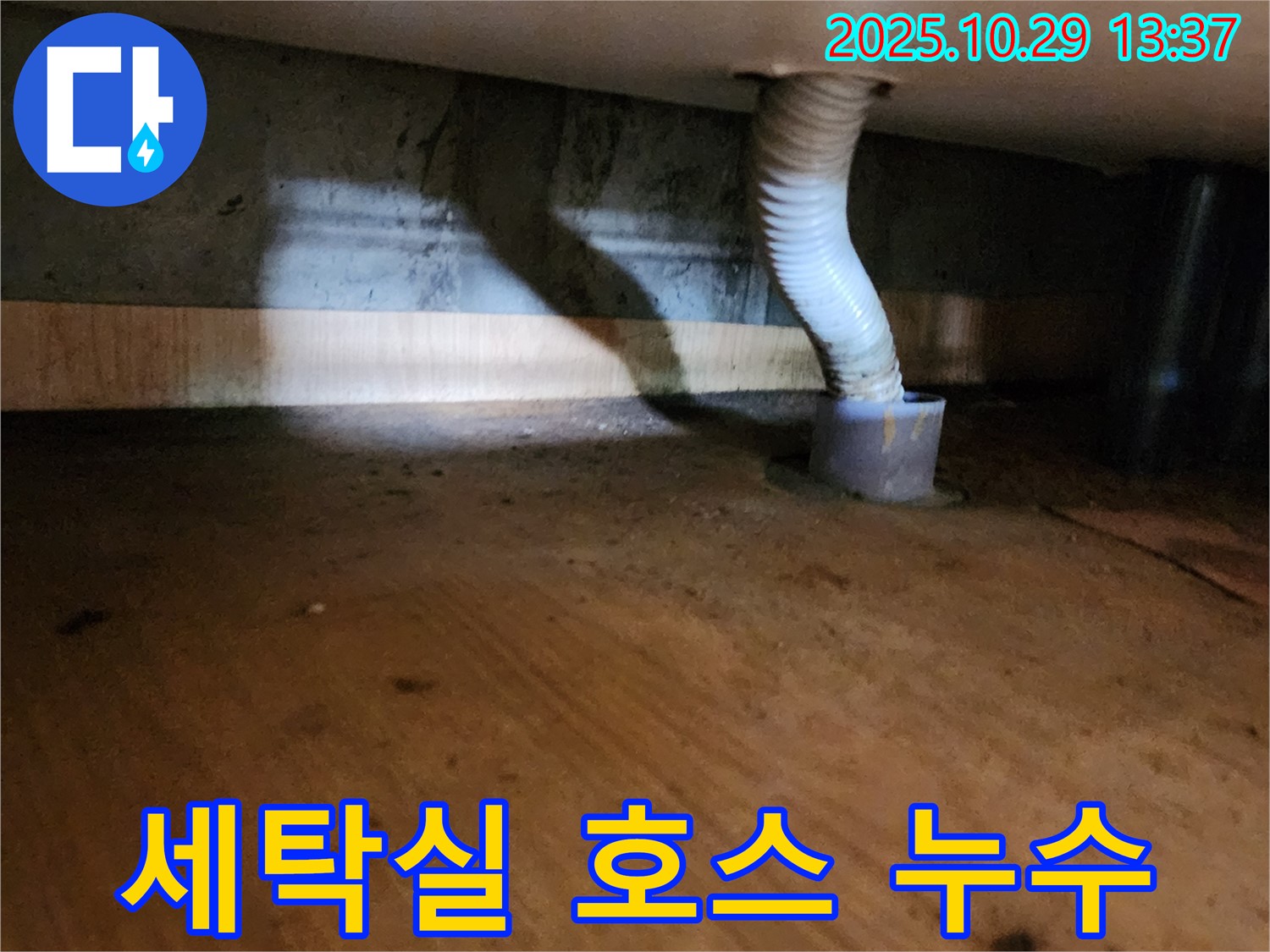 양주시 산북동 세탁실 드레인 호스 - 연결부에서 누수 발생 확인