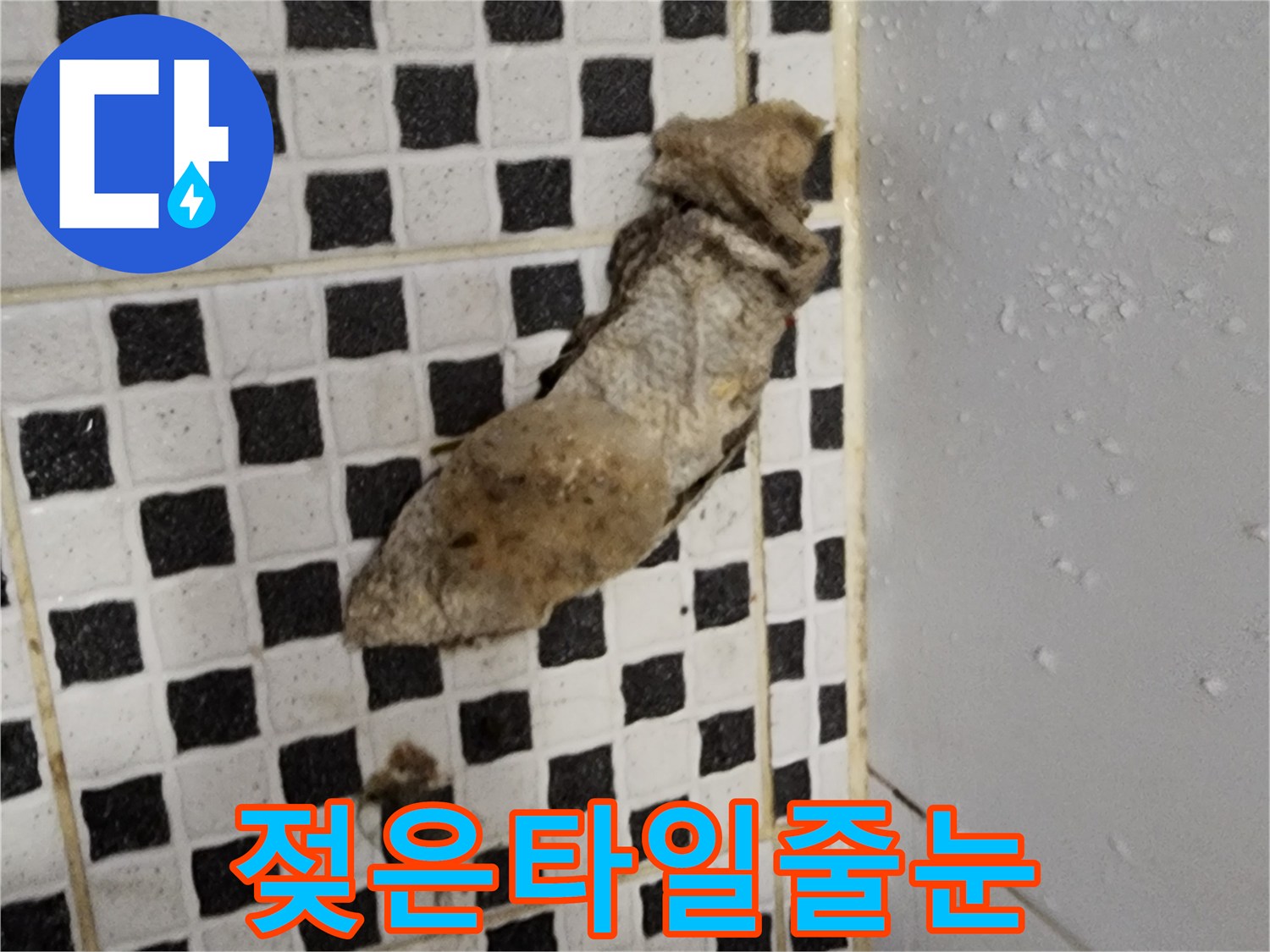 양주시 산북동 현장-물기에 젖어 오염된 타일 줄눈 부위