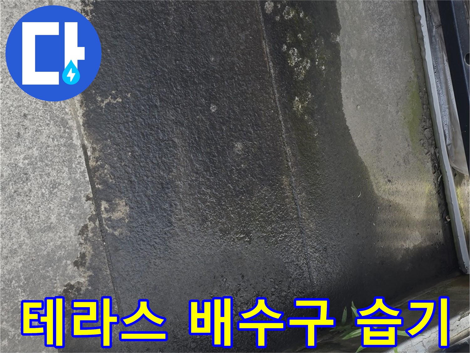테라스 배수구 주변 습기 - 배수 불량일까요? 누수 시작일까요?