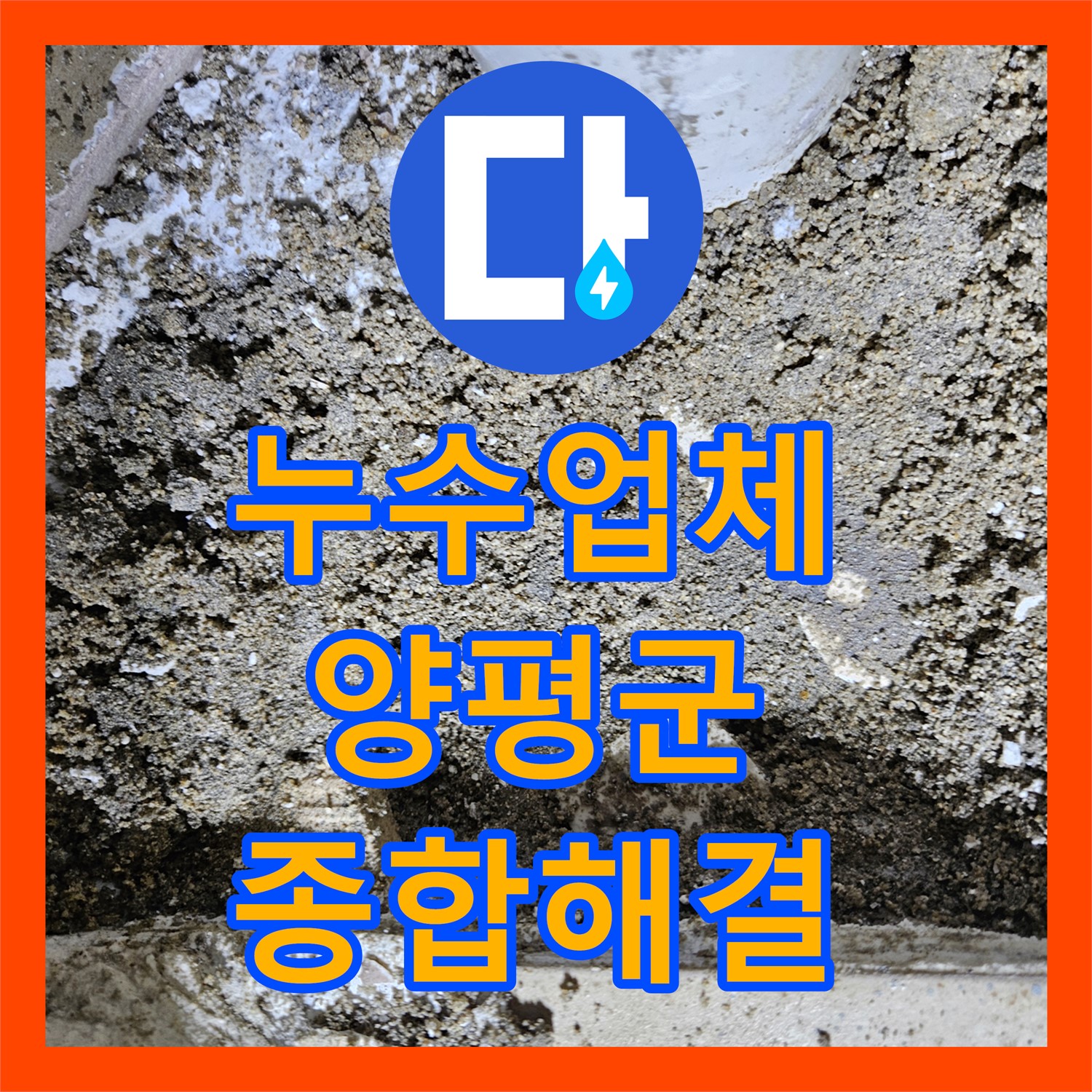누수업체 전문가가 세대 전체에 발생한 누수 문제를 종합적으로 해결하는 과정, 경기 양평군