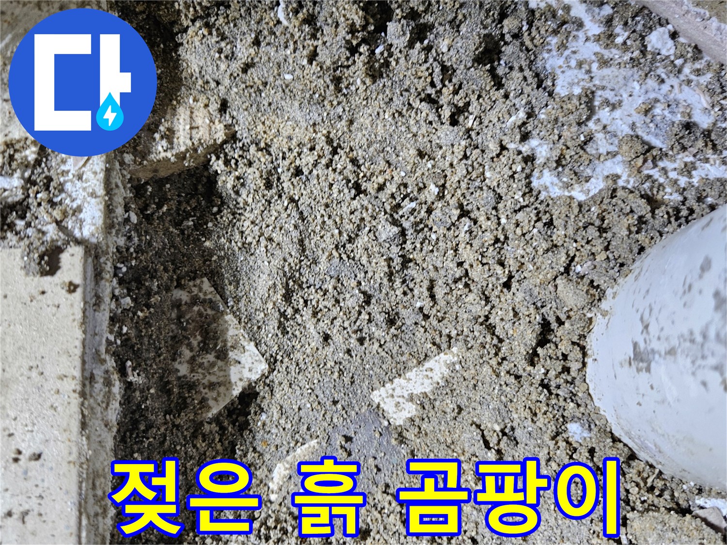 양평 용문면 어수리 누수 - 젖은 흙과 곰팡이 냄새 - 곰팡이 번식