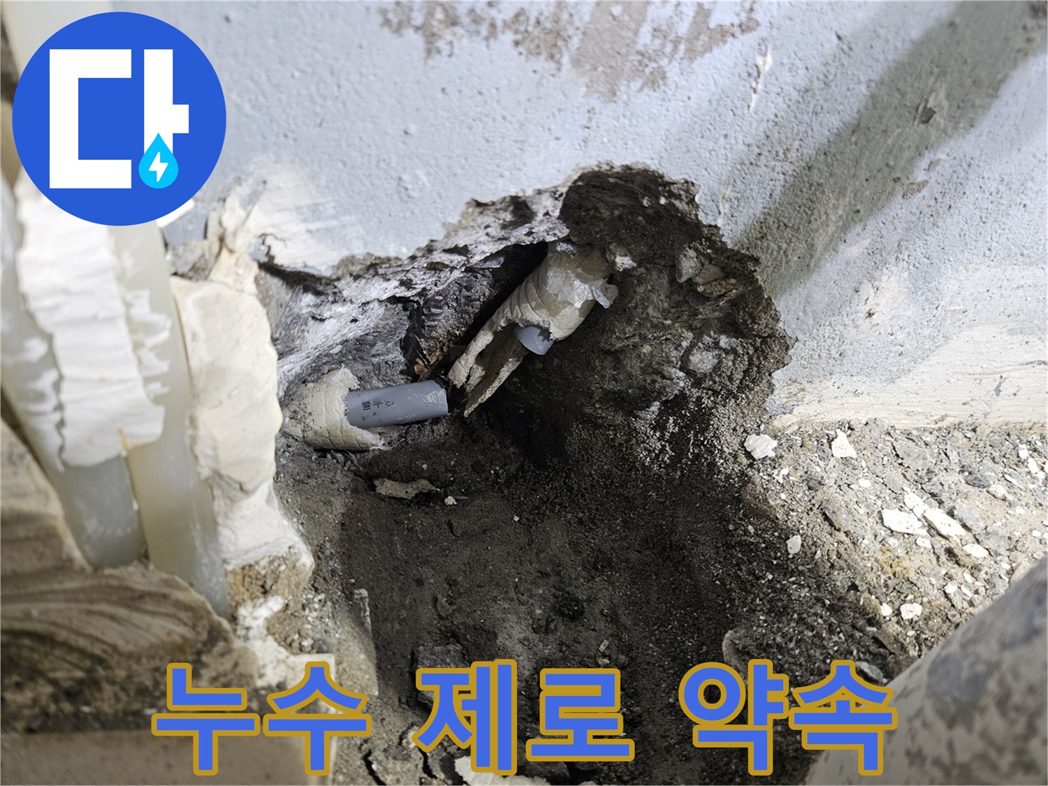 양평 용문면 어수리 - 누수 제로 완벽한 시공 약속!