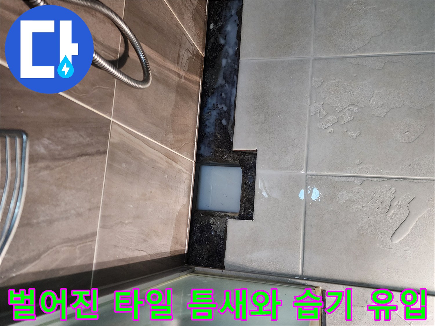 샤워실 바닥-타일 사이의 벌어진 틈과 배수구 주변의 습한 상태