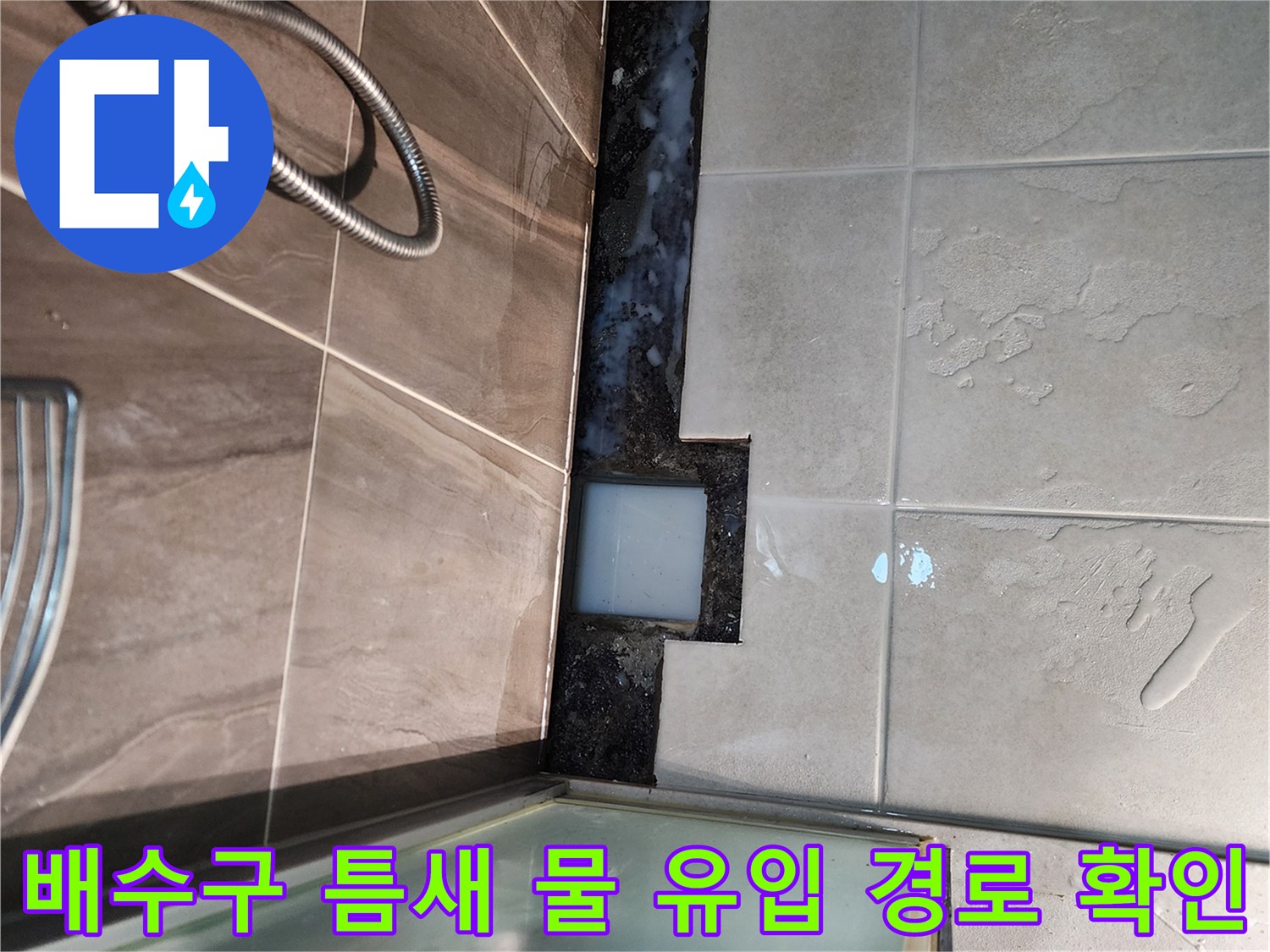 샤워실 배수구 주변-벌어진 타일 사이로 보이는 방수층 노후 상태