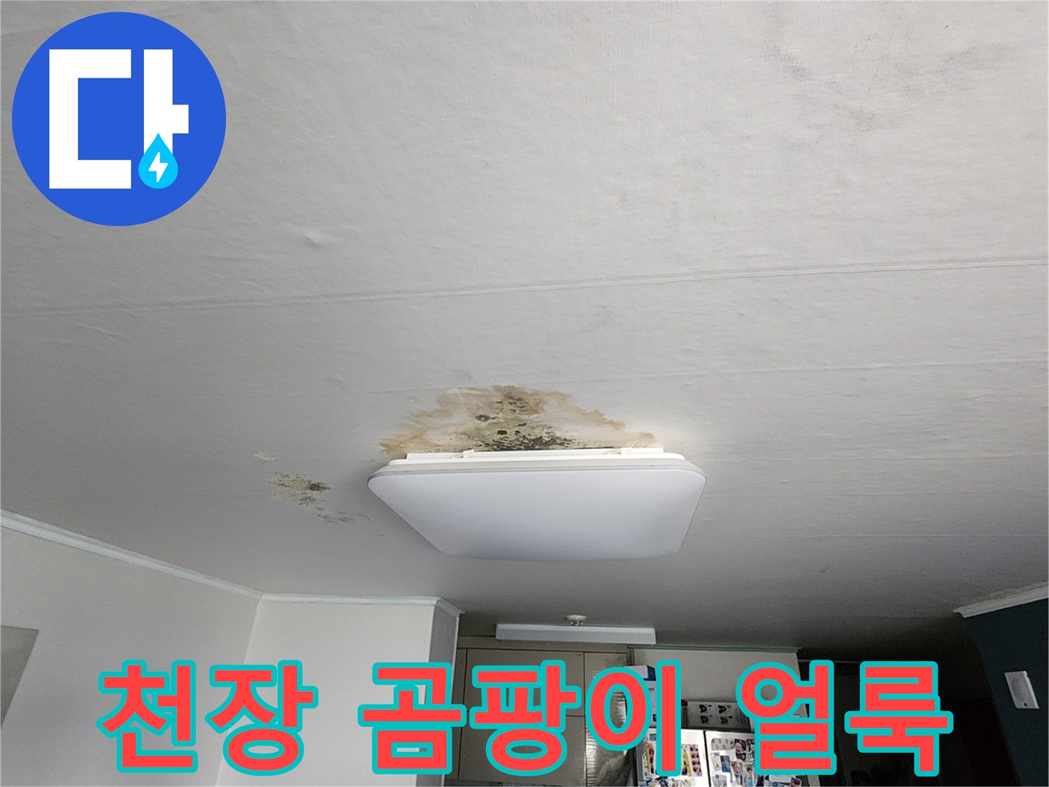 주방 조명 기구 주변의-심한 곰팡이와 습기 흔적 사진