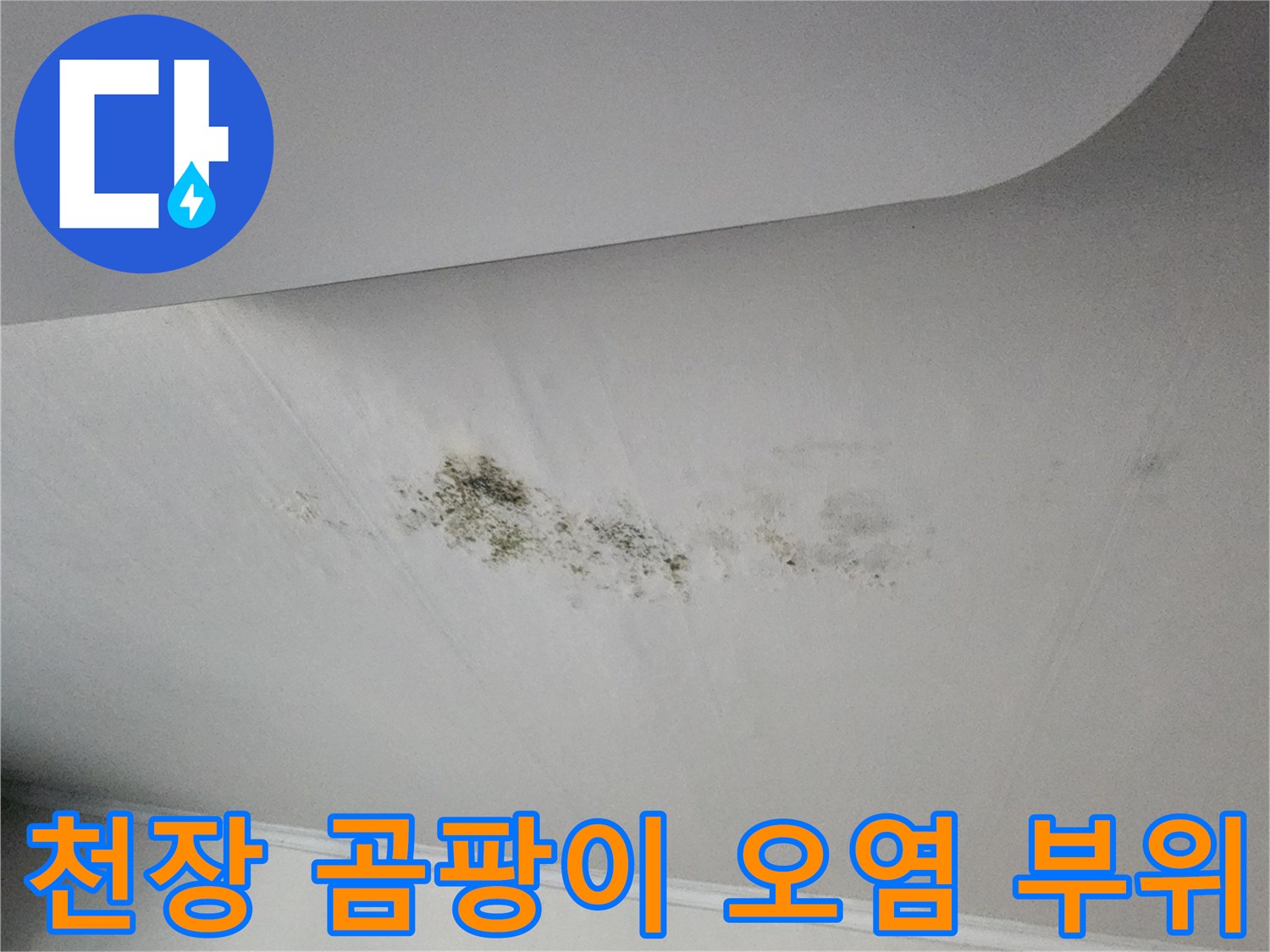 천장 마감재의 변색과 함께 나타난 곰팡이 번식 상태