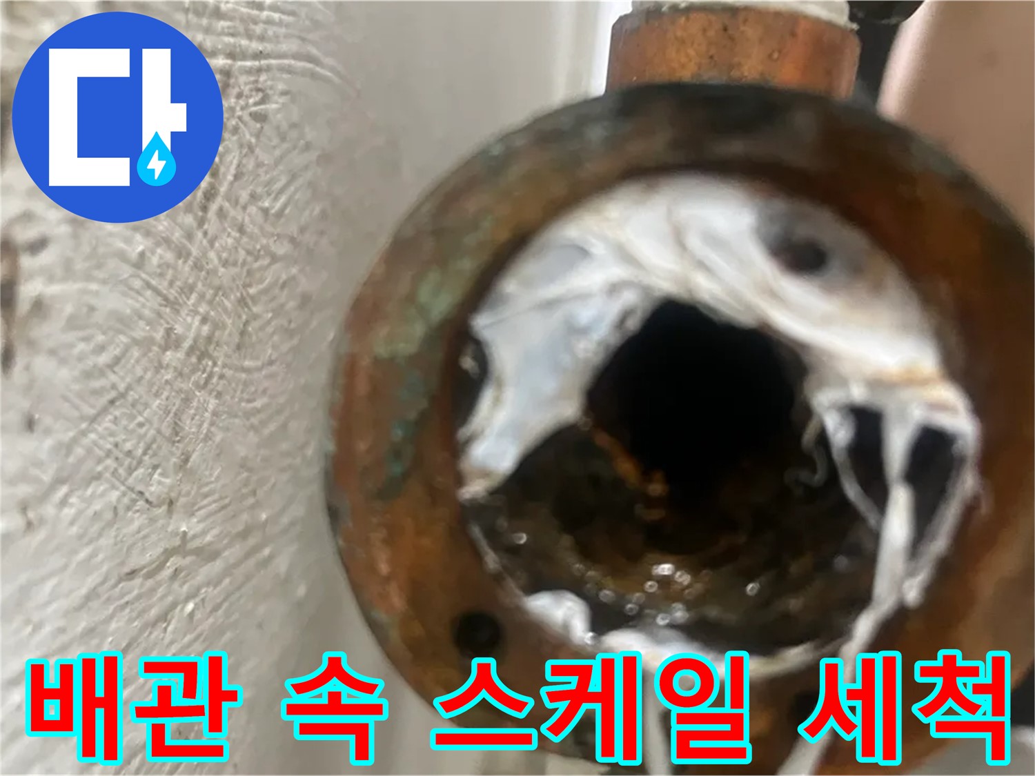 신월동 누수 - 낡은 배관 속 스케일 완벽 차단 세척