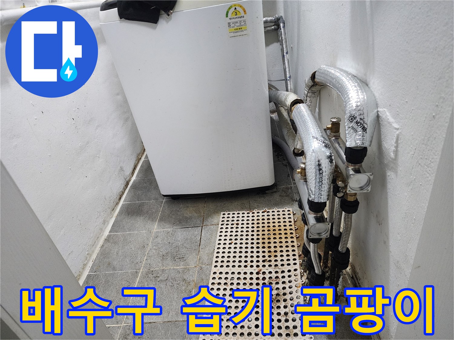 양천구 신월동 한일주택 세탁기 - 배수구 주변 습기 및 곰팡이 확인