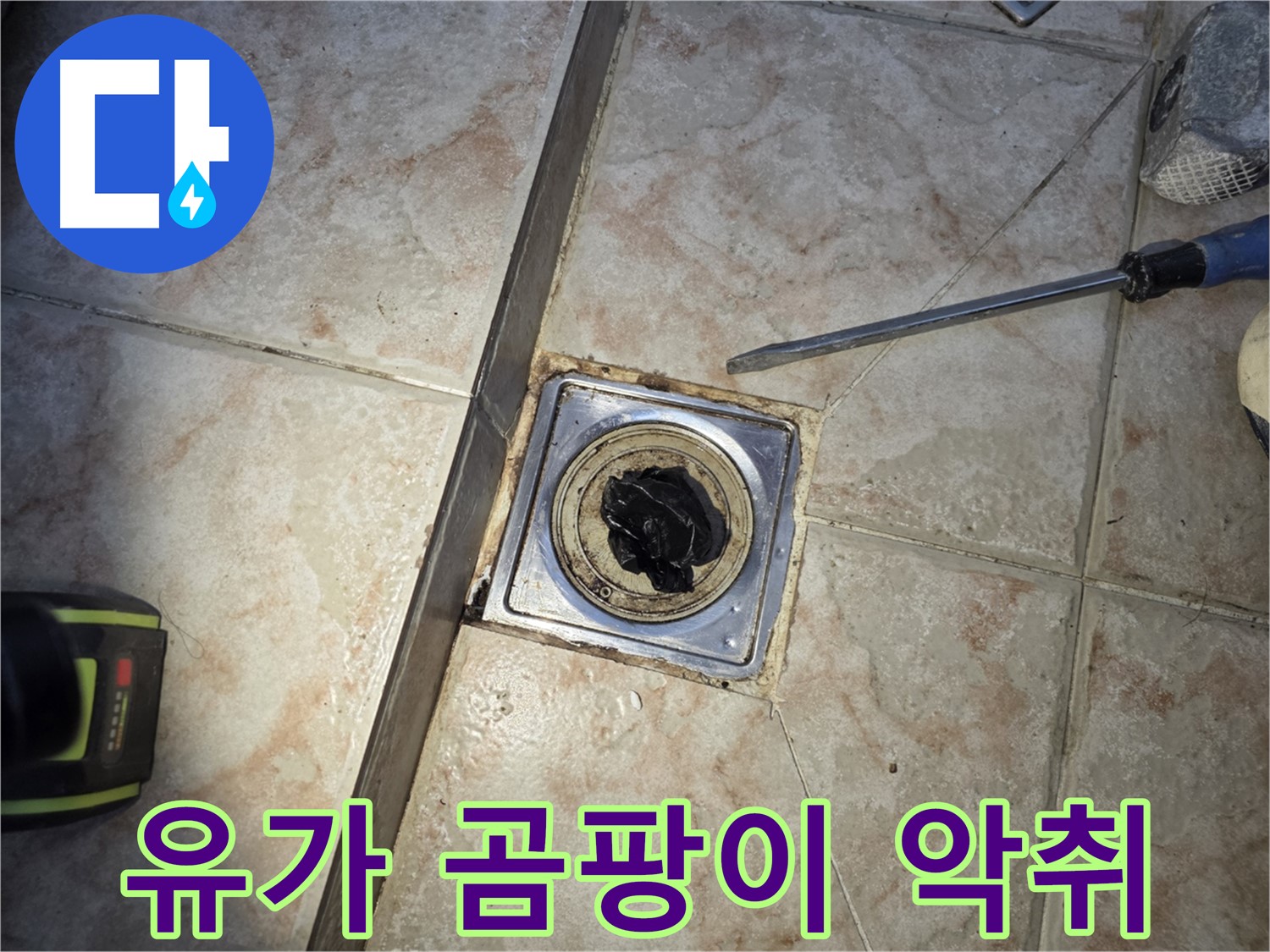 곰팡이로 오염된 욕실 유가