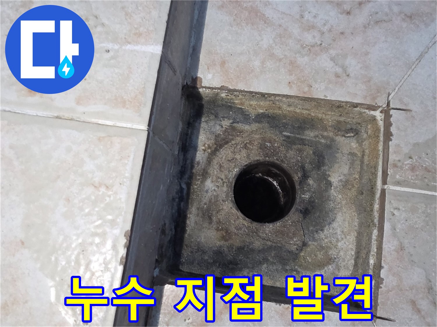 안양 욕실 하수구 누수 지점 발견 - 문제 해결의 시작