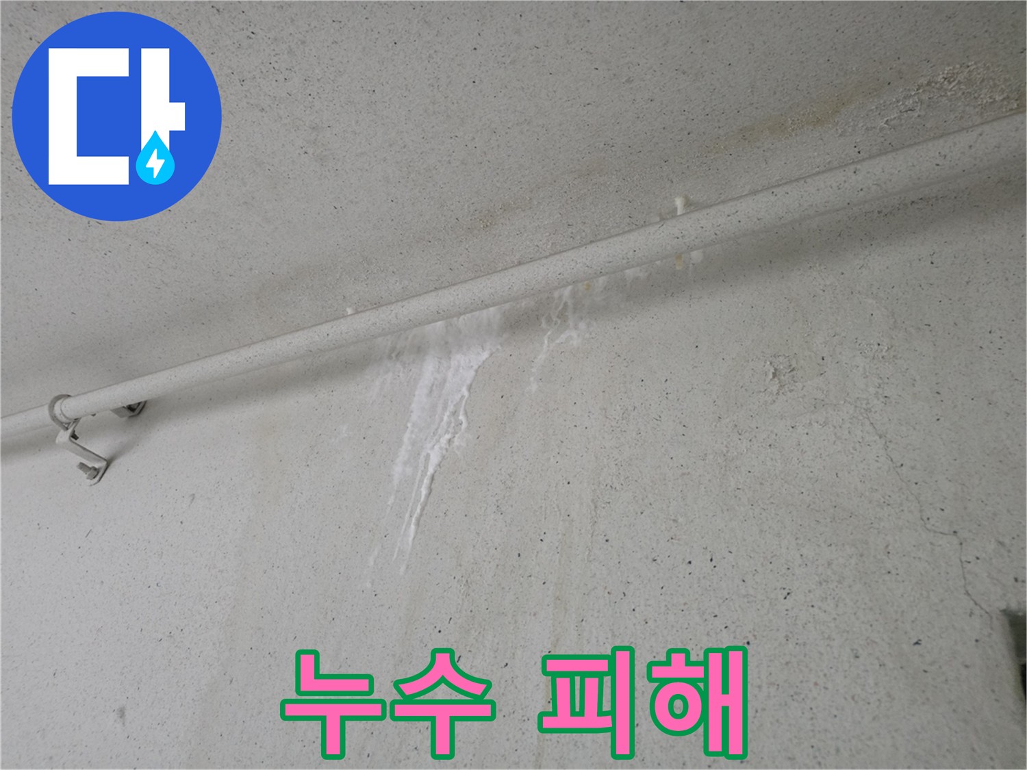 누수로 인한 곰팡이와 벽지 젖음 - 안양 초원맨션 누수 복구