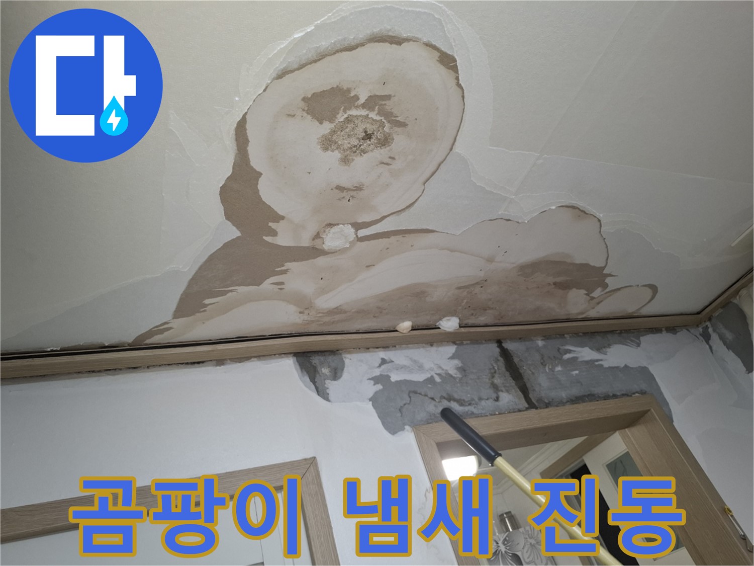 곰팡이 냄새 진동 - 악취 원인, 누수 잡고 냄새 해결!