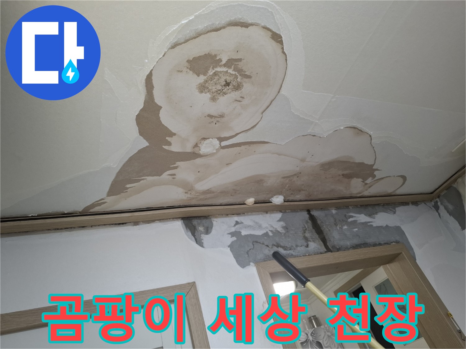 곰팡이 세상 - 쾌적한 일상, 누수가 망치기 전에!