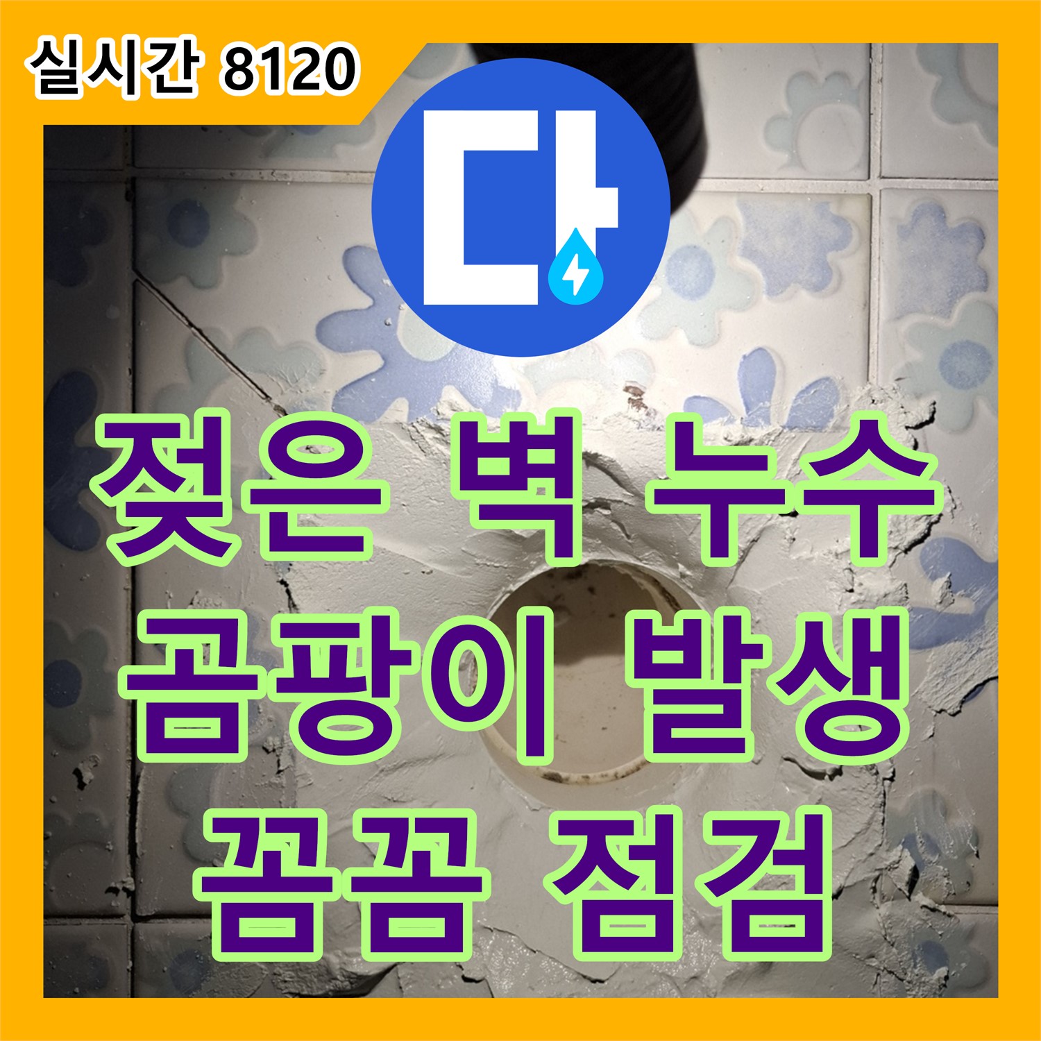 신림 누수전문, 메가캐슬 꼼꼼한 점검으로 젖은 벽 곰팡이 누수 원인 완벽하게 진단