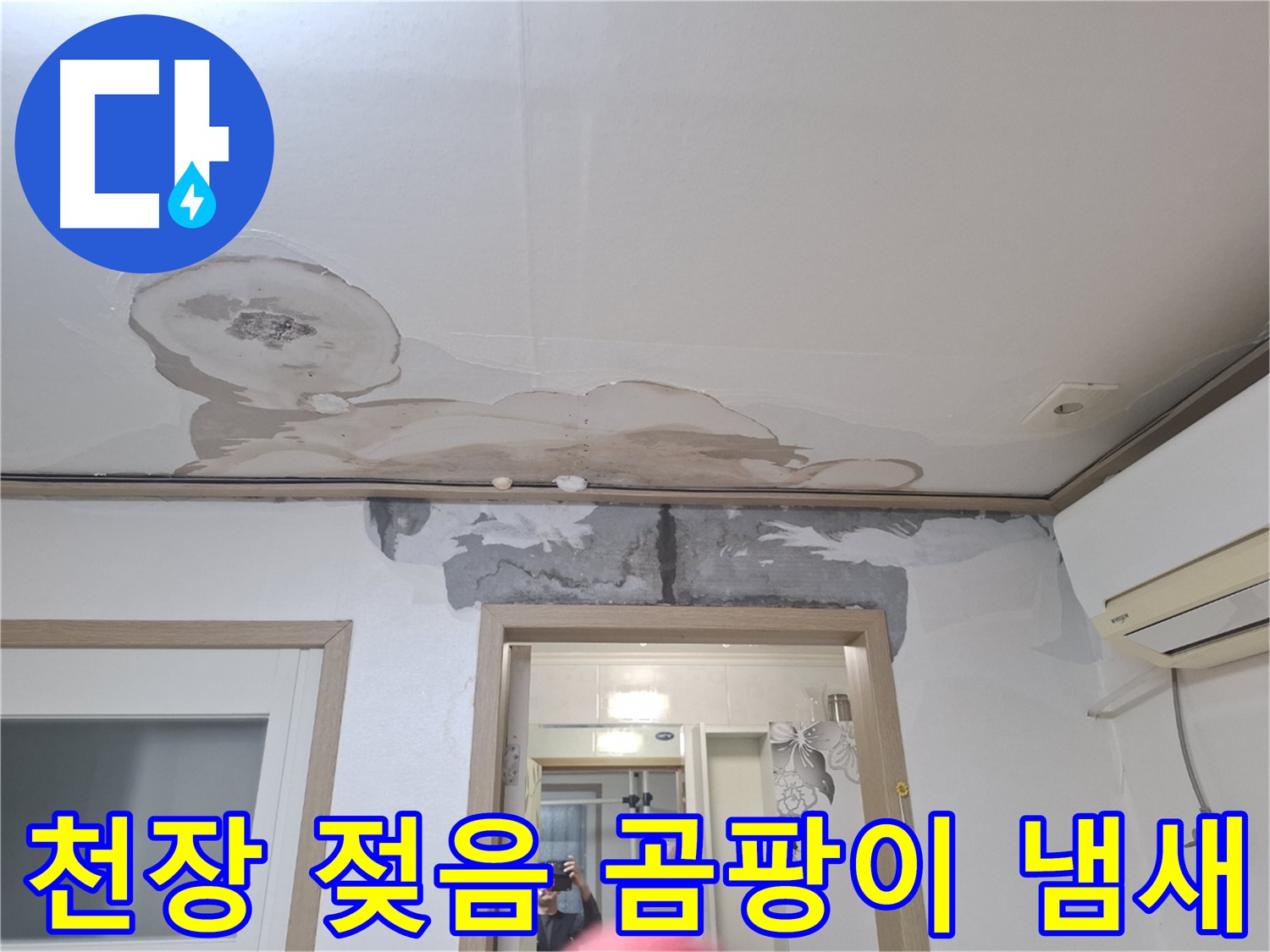 윗집 누수 - 천장 전체가 젖어 곰팡이 냄새 심해요