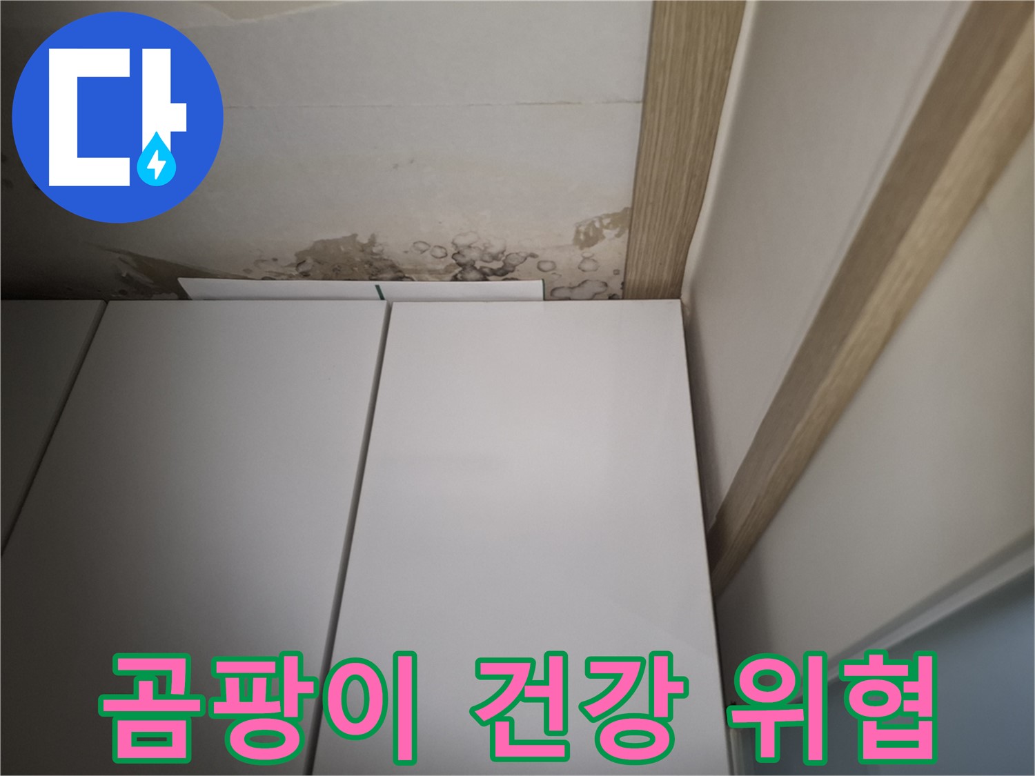 장롱 주변에 곰팡이가 심하게 핀 모습 - 건강을 위협할 수 있습니다.