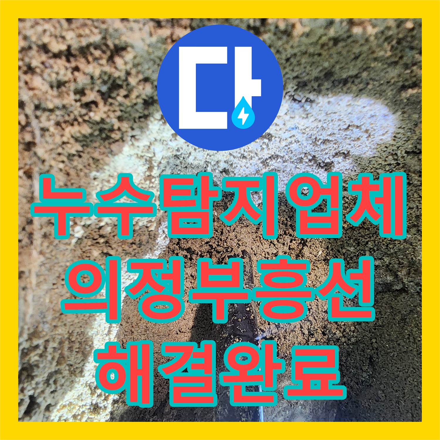 누수탐지업체 외부 PVC 배관 연결부 파손 진단 및 교체 공사 경기도 의정부시 흥선동