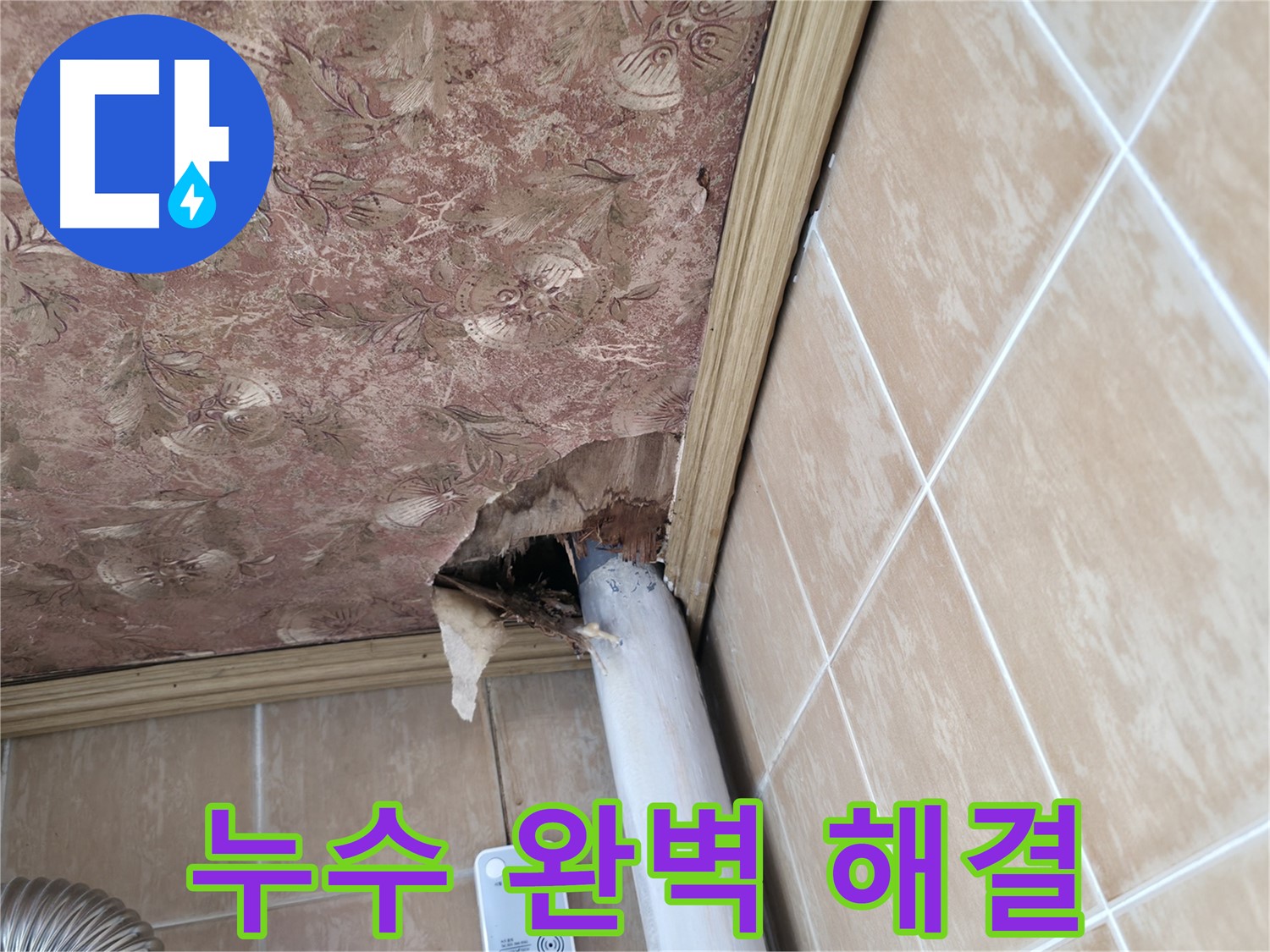 누수 원인 분석 - 정확한 진단