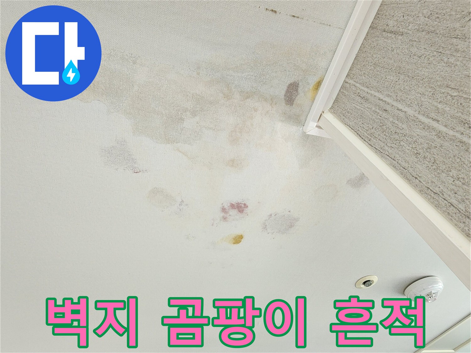 벽면 상단부에 넓게 퍼진 물자국과 곰팡이 발생 부위