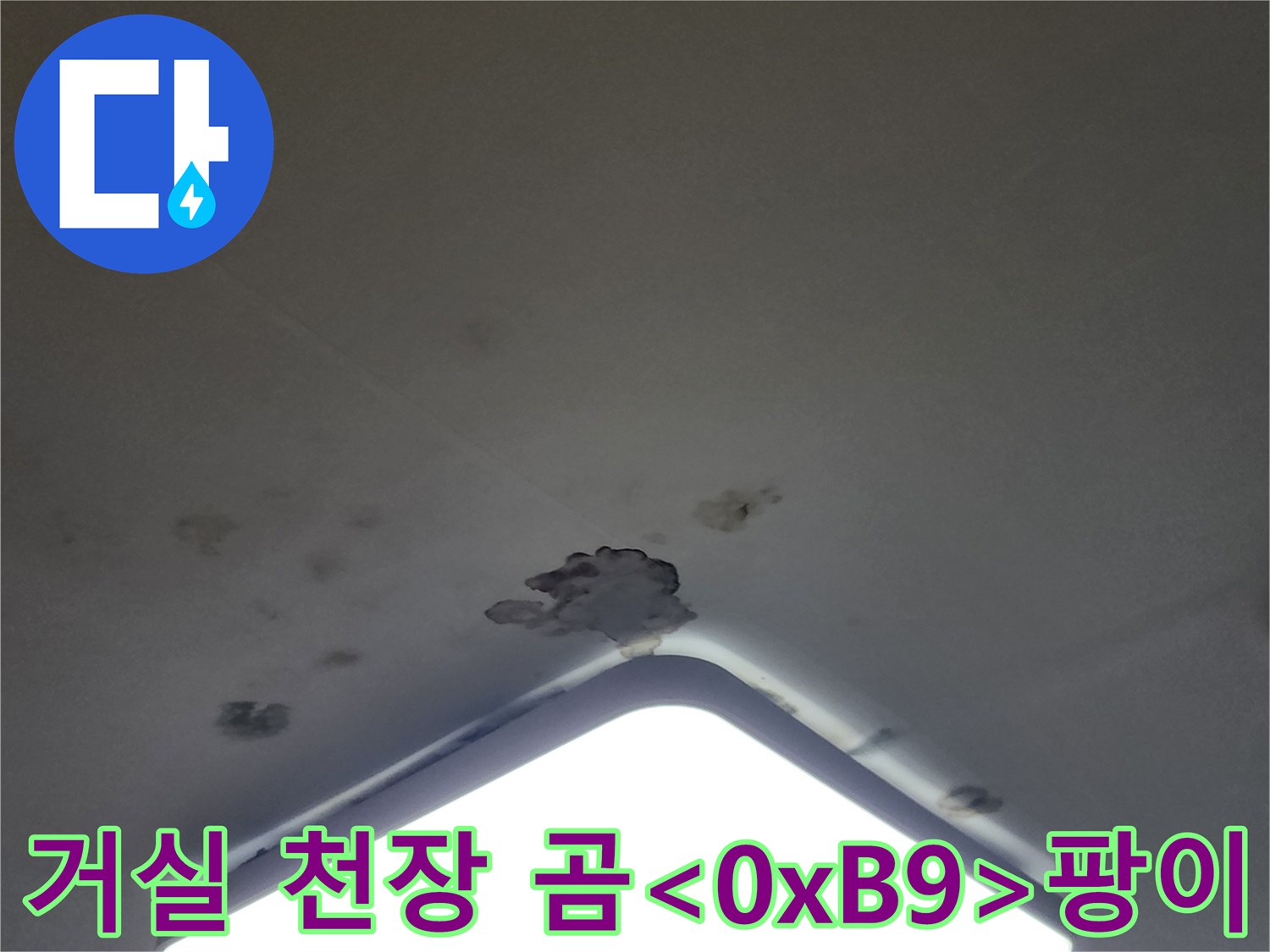 아파트 거실 천장 조명 주변의 누수 흔적 및 오염된 마감재