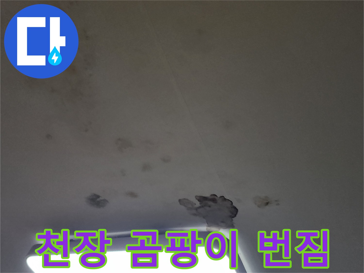 아파트 거실 천장에 발생한 누수 자국과 곰<0xAE>팡이 사진