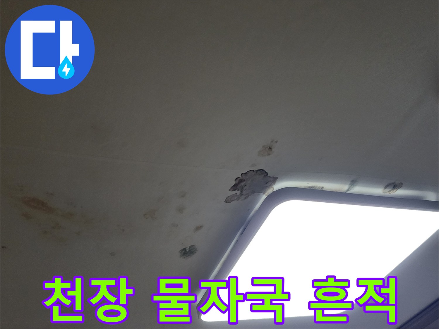 아파트 거실 천장에 발생한 누수 흔적과 곰양 발생 부위