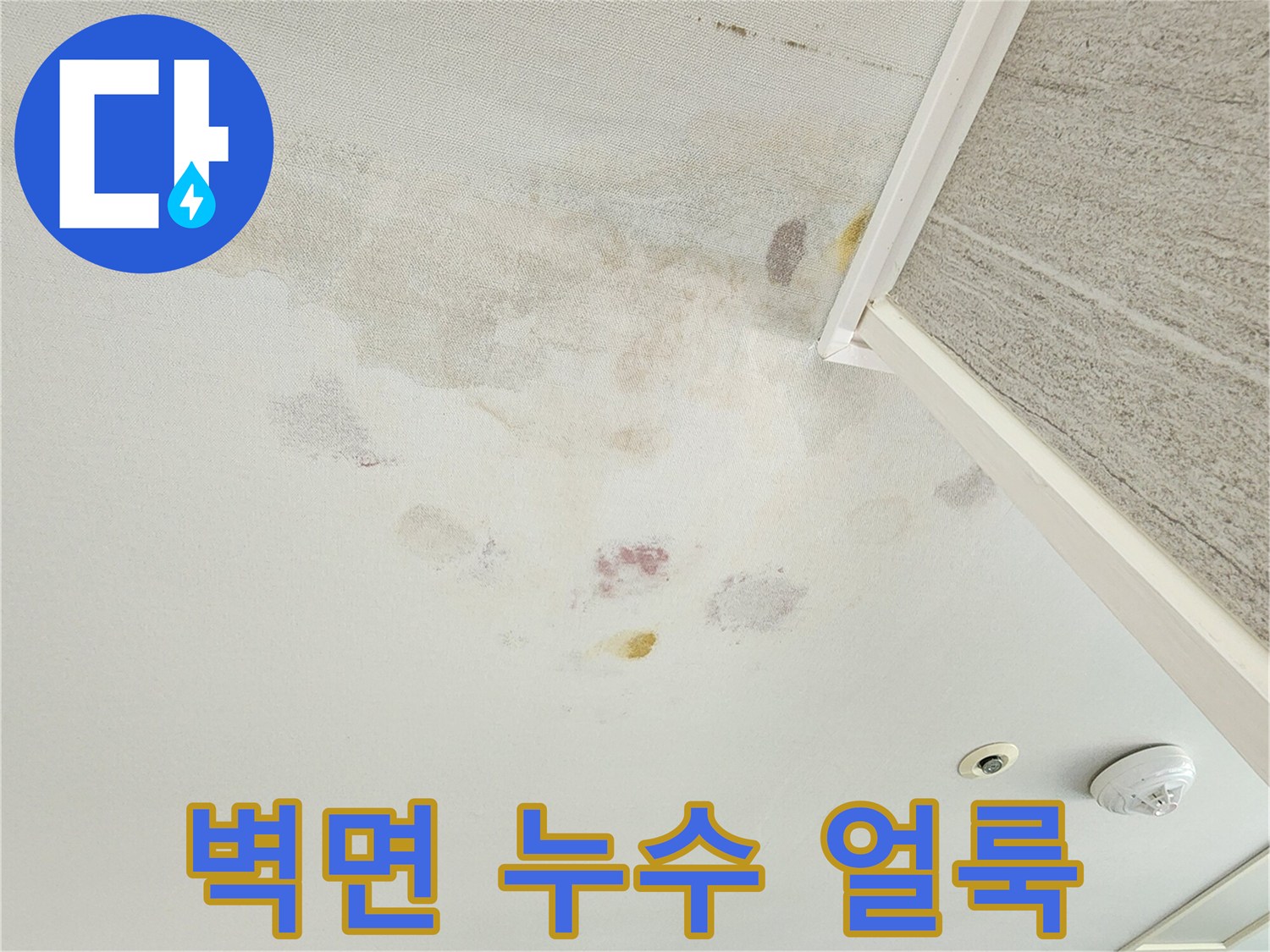 아파트 벽면에 발생한 넓은 범위의 물자국과 오염