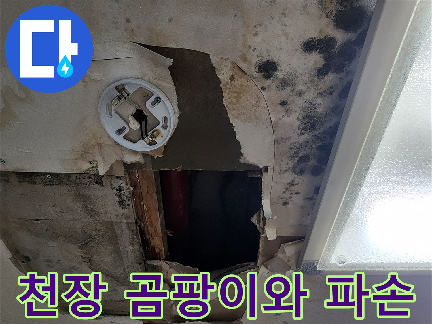 아파트-천장-내부-곰팡이-및-마감재-파손-상태