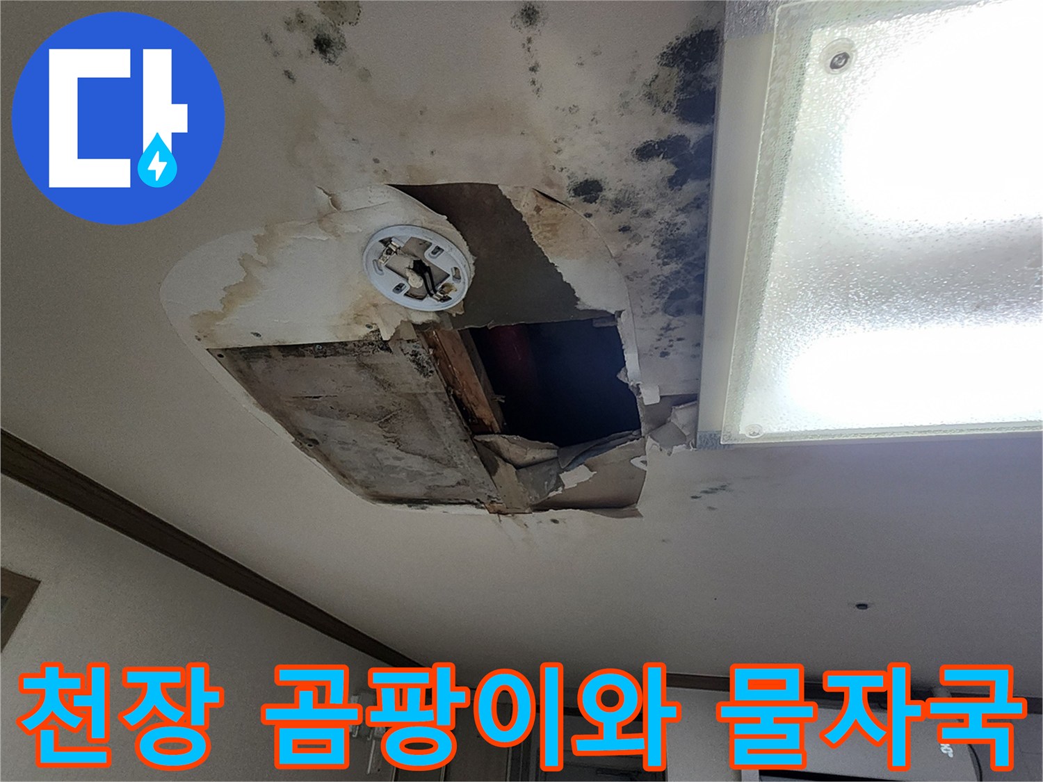 아파트 천장 벽면에 발생한 검은 곰팡이와 넓게 퍼진 물 얼룩 상태