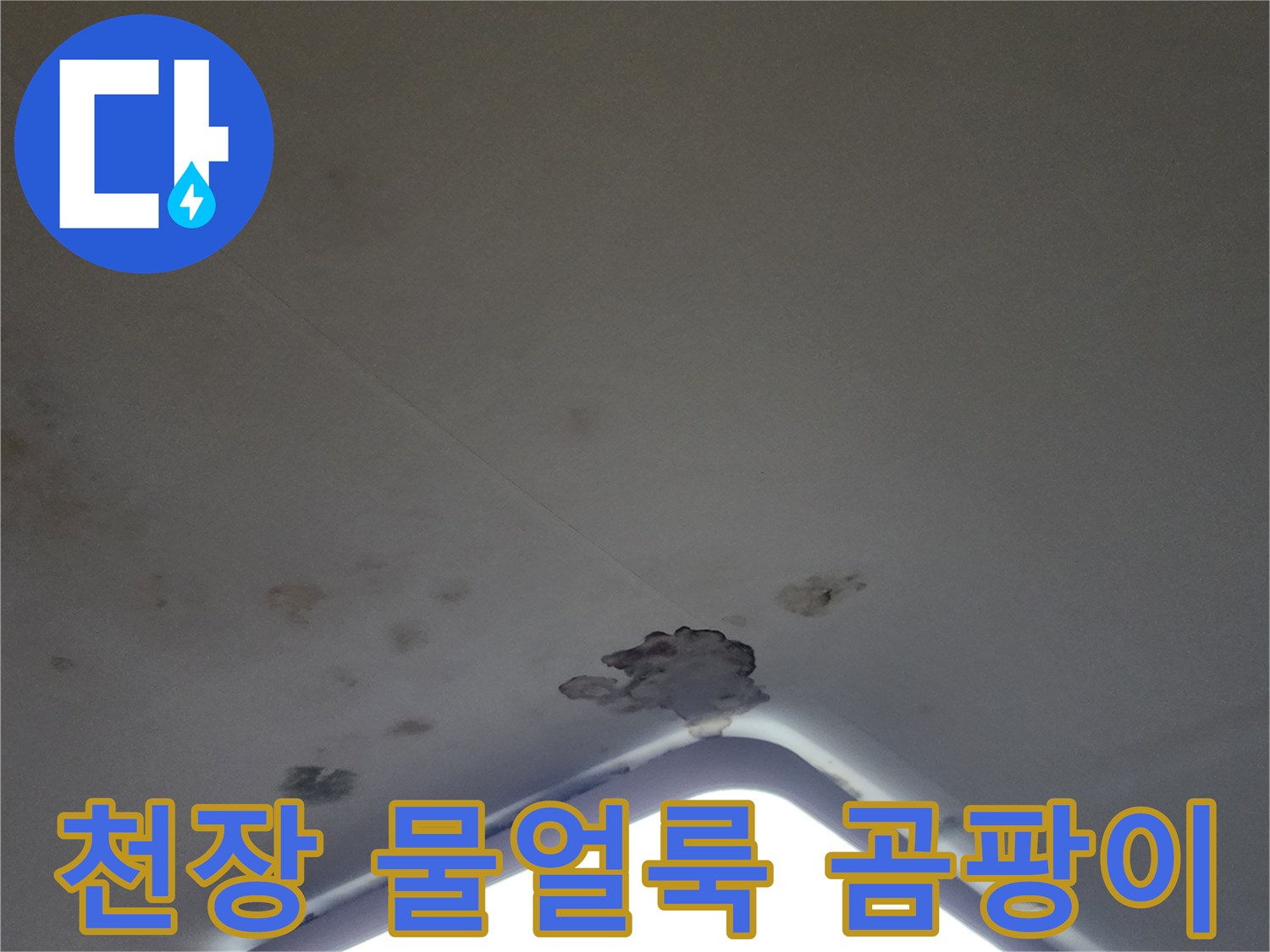 아파트 천장 조명 주변의 누수 흔적과 곰팡이 발생 상태