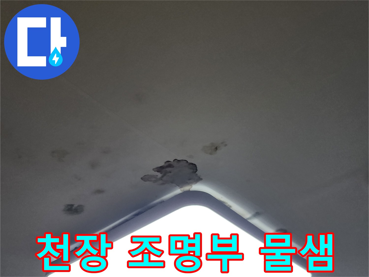 조명 케이스 주변으로 퍼진 젖은 자국과 곰팡이