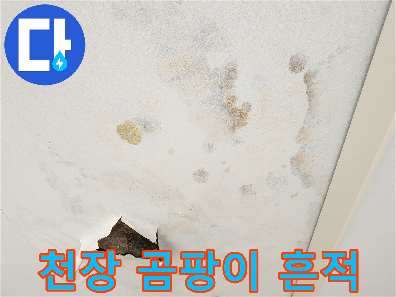 천장-벽지-표면에-나타난-심한-물얼룩과-곰팡이