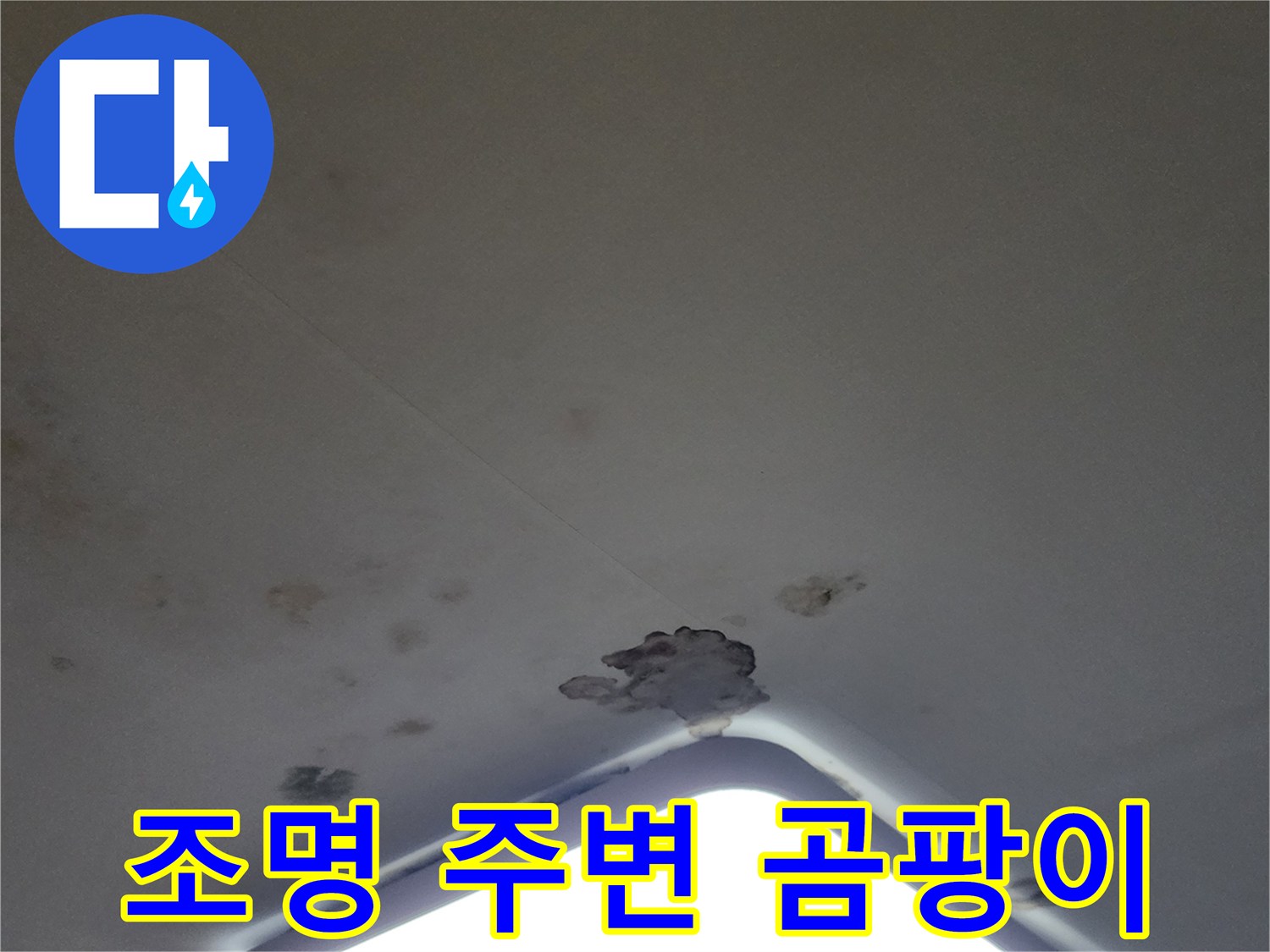 천장 조명 근처에 발생한 검은색 곰팡이와 물 얼룩