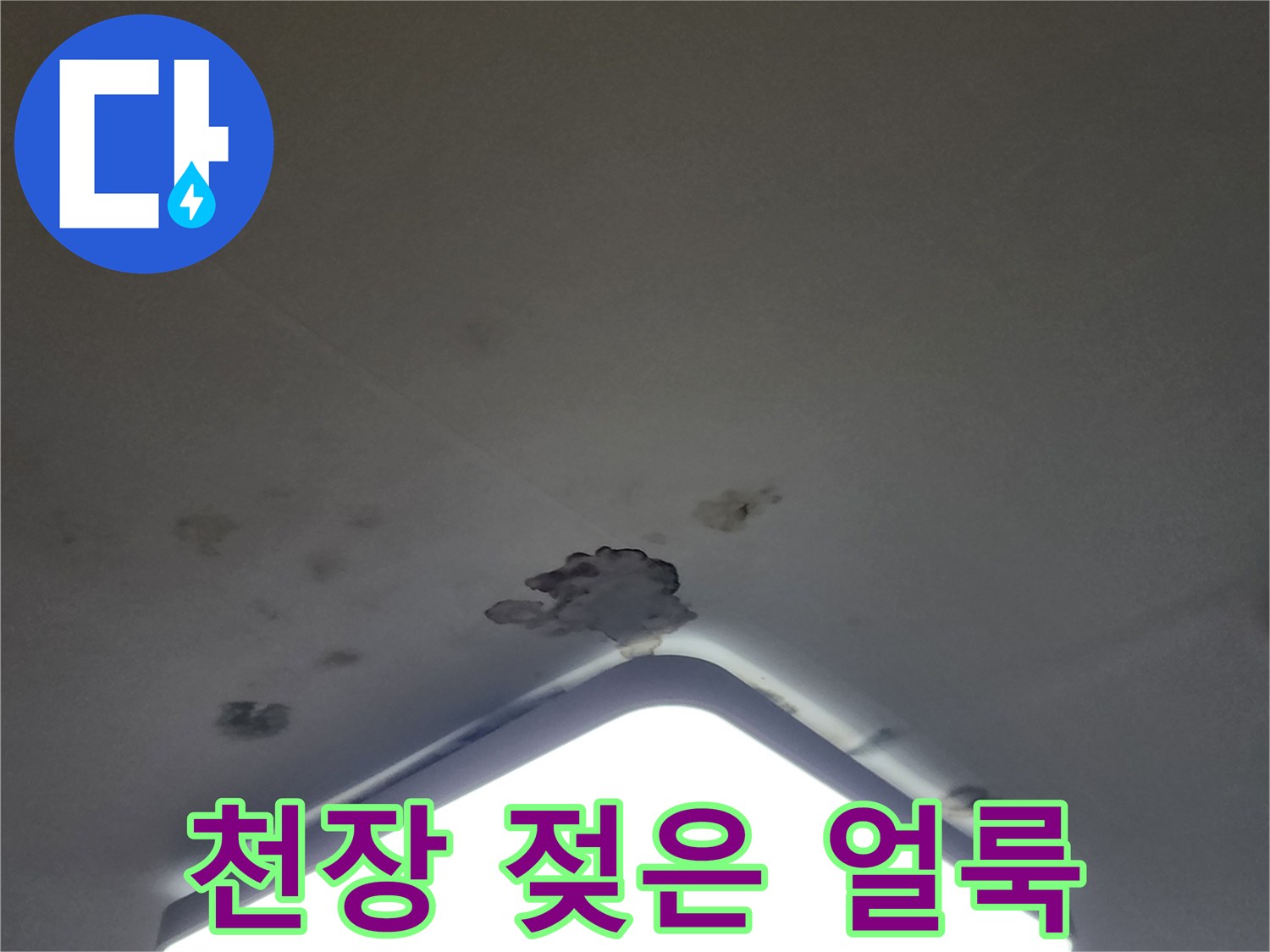 천장 조명 근처에 발생한 누수 피해 흔적과 곰팡이