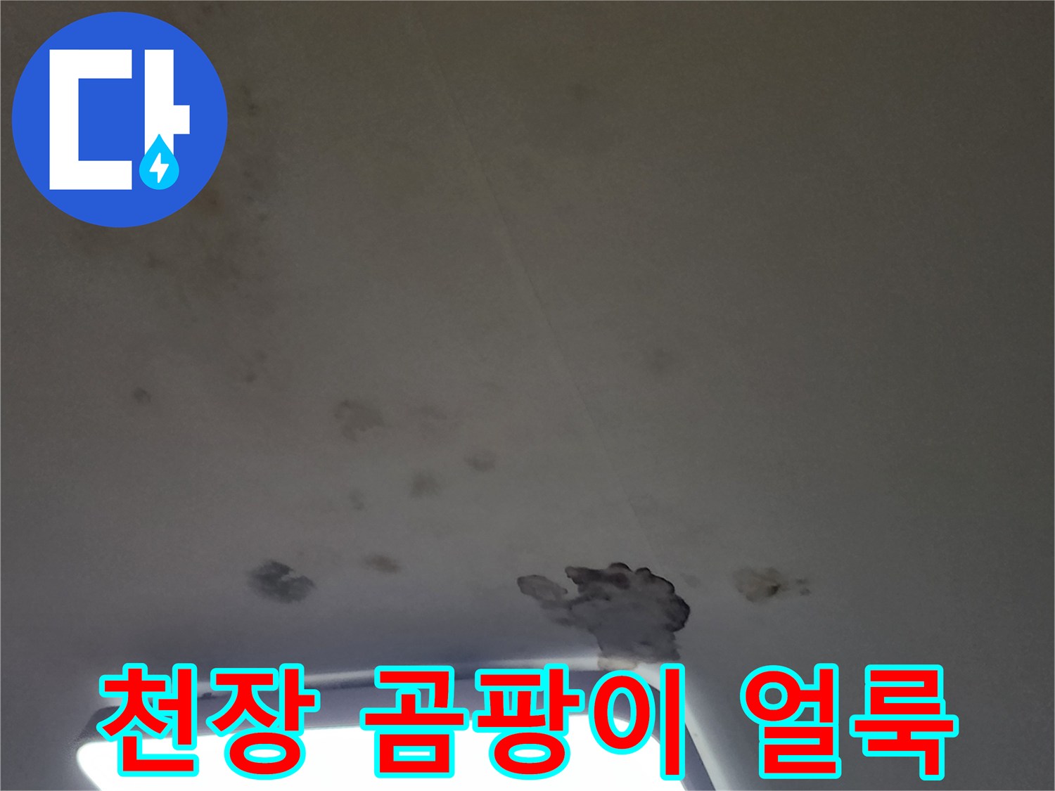 포천 무봉리 아파트 거실 천장에 발생한 곰양과 물 얼룩 상태