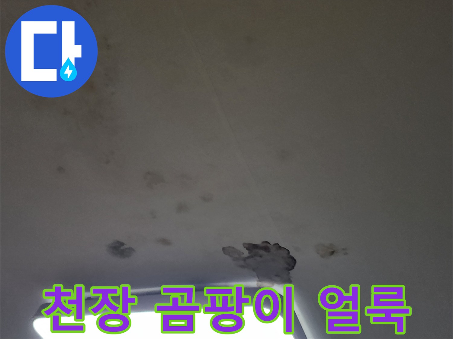 포천 무봉리 아파트 거실 천장에 발생한 곰팡이와 물얼룩 사진