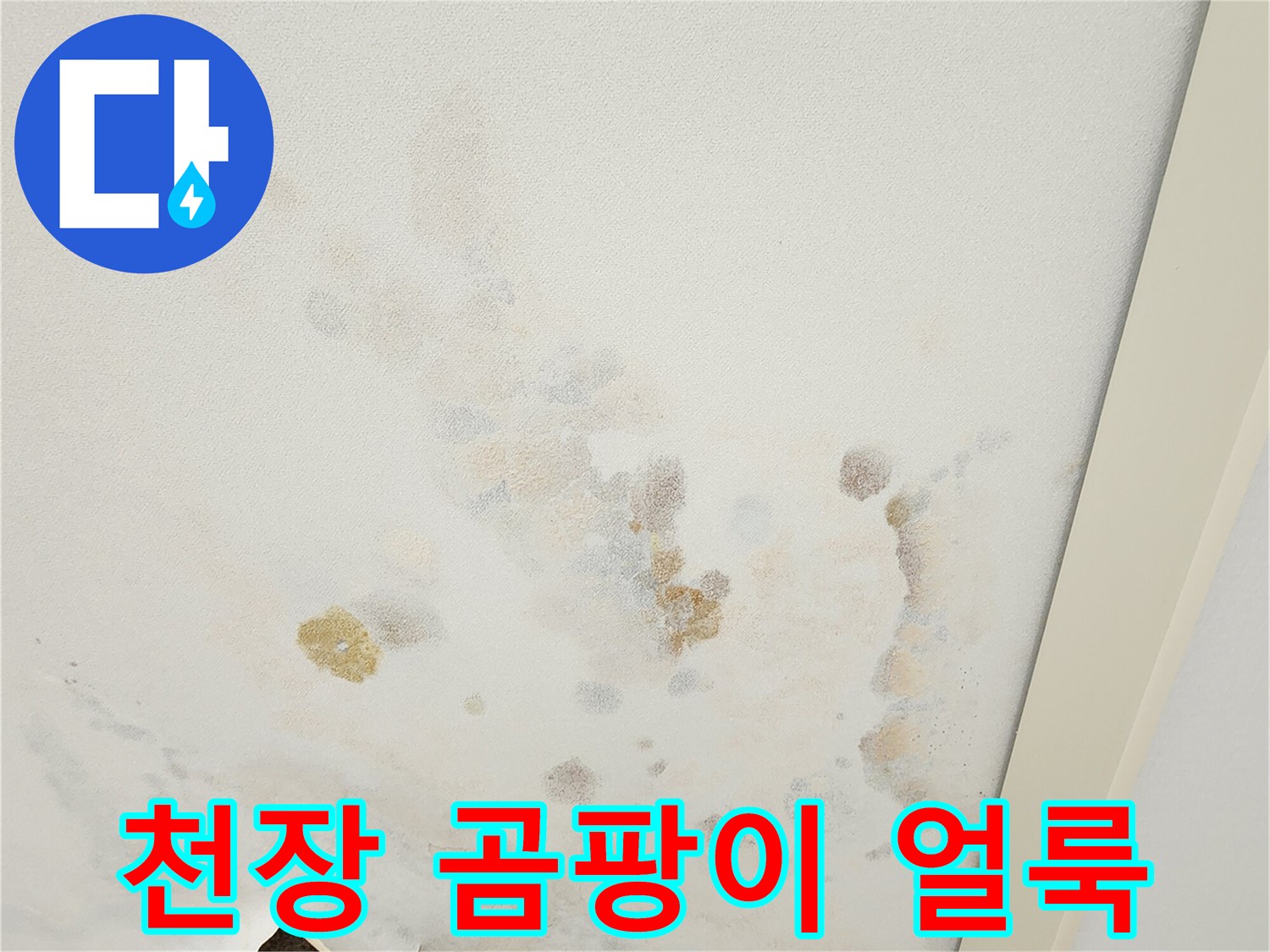 포천 무봉리 아파트 거실 천장의 물 얼룩과 곰팡이 흔적