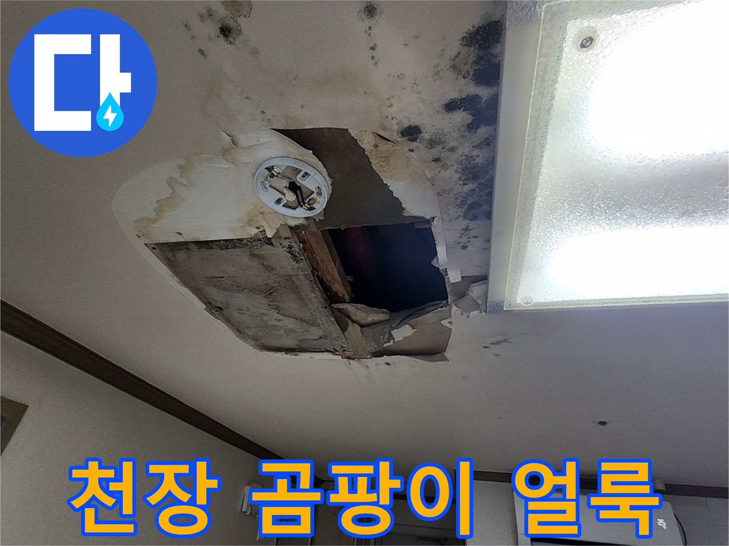 포천 무봉리 아파트-천장 곰팡이와 물 얼룩 상태