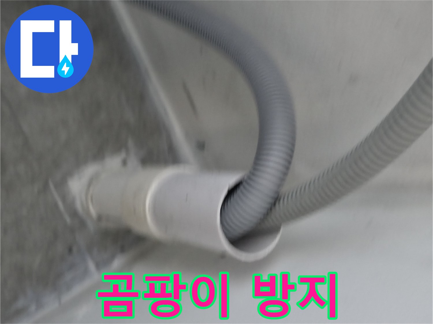 관악구 하이츠빌라 세탁기 호스 배수구 주변 곰팡이 방지